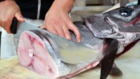 В России перед праздниками рыба подорожала до 40%